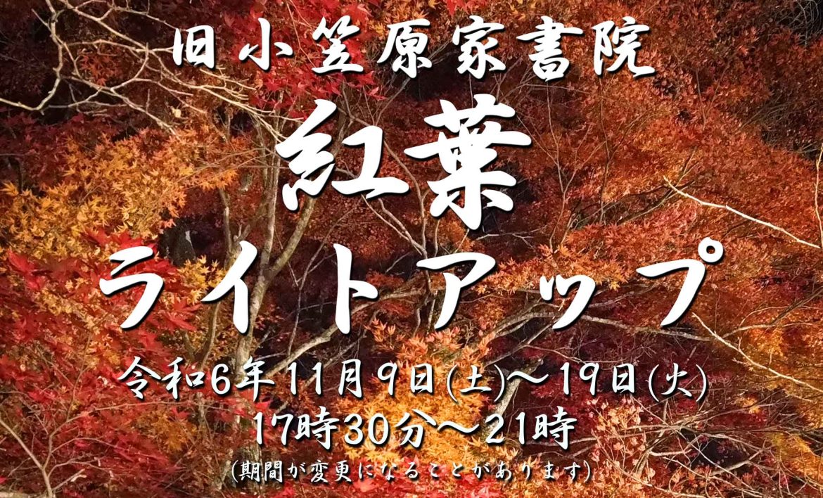 【イベント】小笠原書院 紅葉ライトアップ