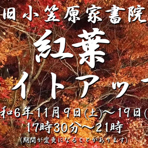 【イベント】小笠原書院 紅葉ライトアップ